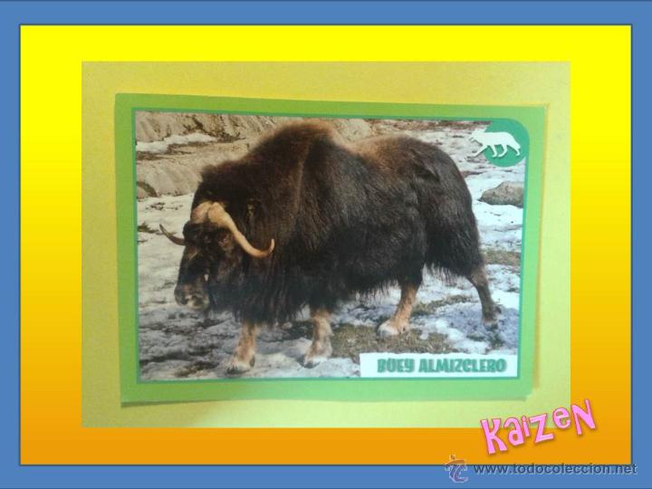 Coleccionismo cromos antiguos: CROMO DE LA COLECCCION: ANIMALES 2012, DE PANINI. N&ordm; 366 - Foto 1