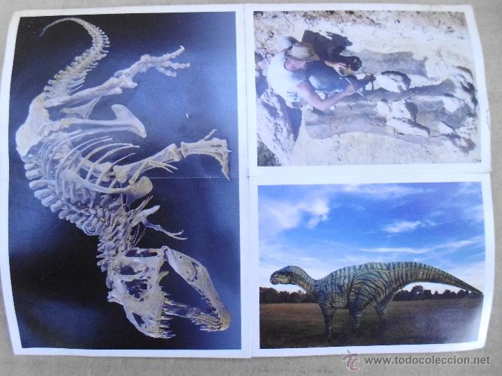 Coleccionismo cromos antiguos: 4 CROMOS ESPECIALES DE LA COLECCI&Oacute;N DE MARCA: DINOSAURIOS, N&Uacute;MEROS: E3 - E4 - E14 - E15 no pegados - Foto 1