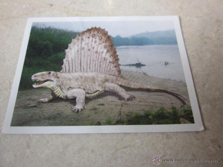 Coleccionismo cromos antiguos: CROMO DINOSAURIOS MARCA N&ordm; 18 DIMETRODON - Foto 1