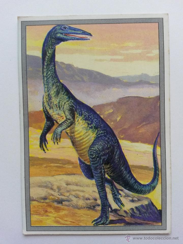 Coleccionismo cromos antiguos: Cromo, 101 dinosaurios ,trading cards n&ordm; 53 - Foto 1