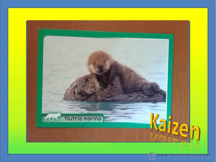 Coleccionismo cromos antiguos: CROMO DE LA COLECCCION: ANIMALES 2014, DE PANINI. N&ordm; 252 - Foto 1