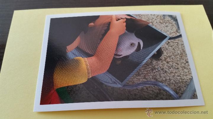 Coleccionismo cromos antiguos: CROMO HEIDI 2016 PANINI N&ordm; 87 - Foto 1