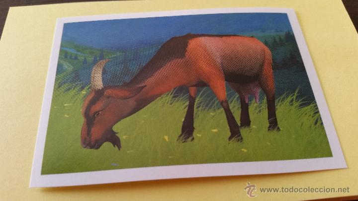 Coleccionismo cromos antiguos: CROMO HEIDI 2016 PANINI N&ordm; 21 - Foto 1