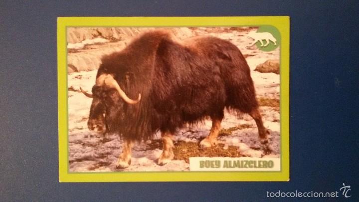 Coleccionismo cromos antiguos: Cromo coleccion ANIMALES 2012 de Panini N&deg;366 - Foto 1