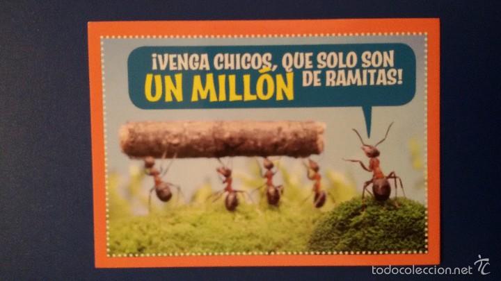 Coleccionismo cromos antiguos: Cromo coleccion ANIMALES 2012 de Panini N&deg;335 - Foto 1