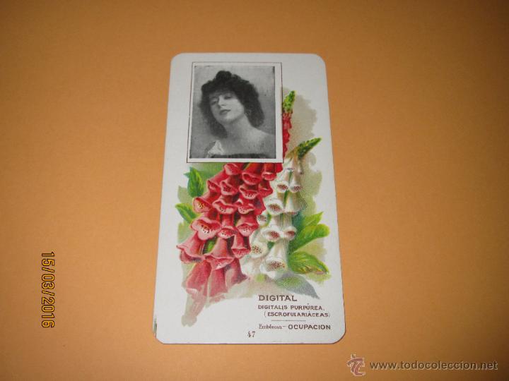 Coleccionismo cromos antiguos: Cromolitografia n&ordm; 47 DIGITAL *El Emblema de las Flores* con Publicidad Calzado - A&ntilde;o 1920s