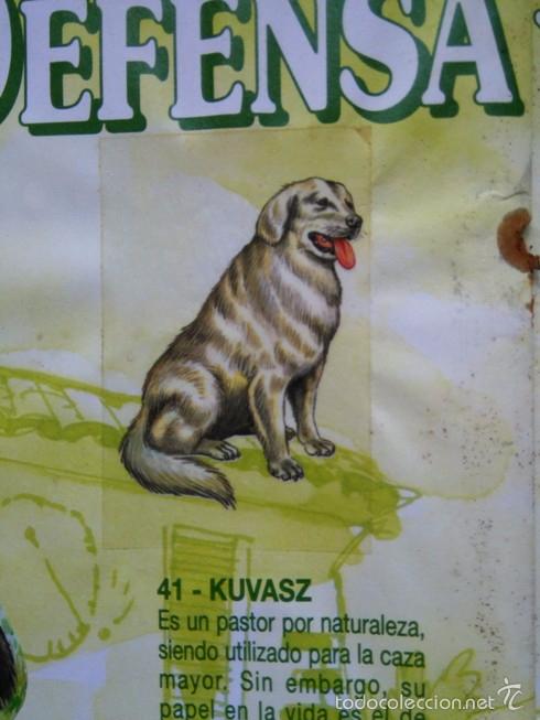 Sammeln alte Sammelbilder: bollycao tu mejor amigo 41