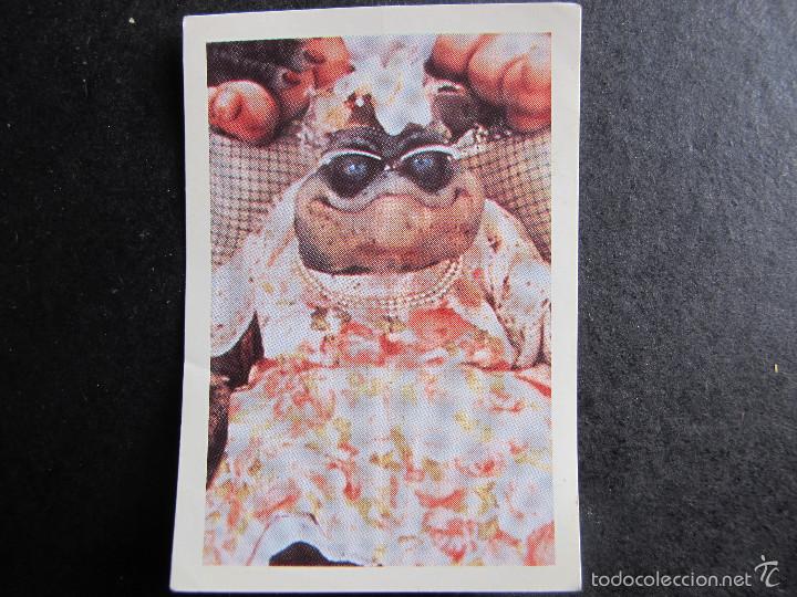 Coleccionismo cromos antiguos: cromo dinosaurs panini disney numero 130 - Foto 1