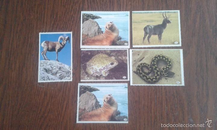 Coleccionismo cromos antiguos: lote de 6 cromos de tele indiscreta - Foto 1