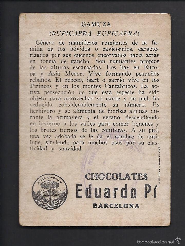 Coleccionismo cromos antiguos: Cromo Historia Natural. Chocolates Pi. - Foto 2
