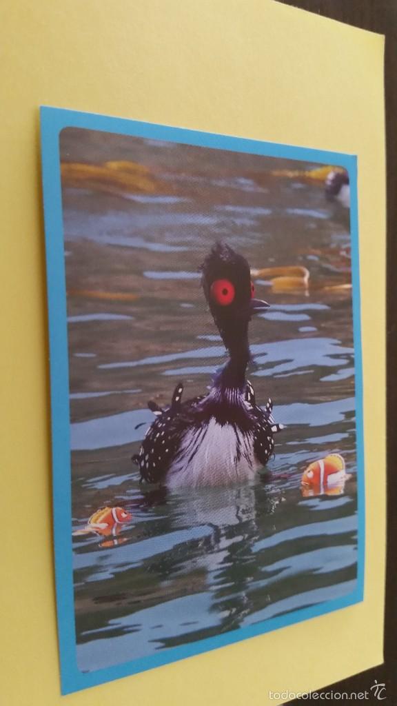 Coleccionismo cromos antiguos: CROMO BUSCANDO A DORY - PANINI 2016 N&ordm; 90 - Foto 1