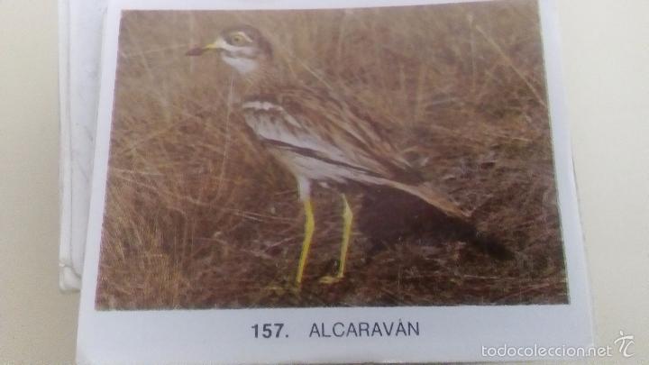 Coleccionismo cromos antiguos: 400 cromos de animales - Foto 2