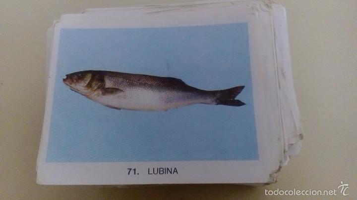 Coleccionismo cromos antiguos: 400 cromos de animales - Foto 3