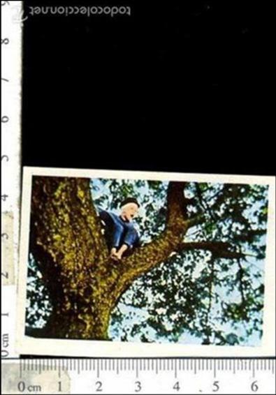 Collezionismo Figurine antiche: CROMO DE LA SERIE MIGUEL EL TRAVIESO  N&ordm;35     1977   NUNCA PEGADO