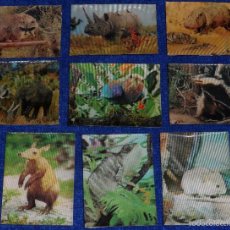Coleccionismo Cromos antiguos: ANIMALES SALVAJES EN TRES DIMENSIONES - PANRICO