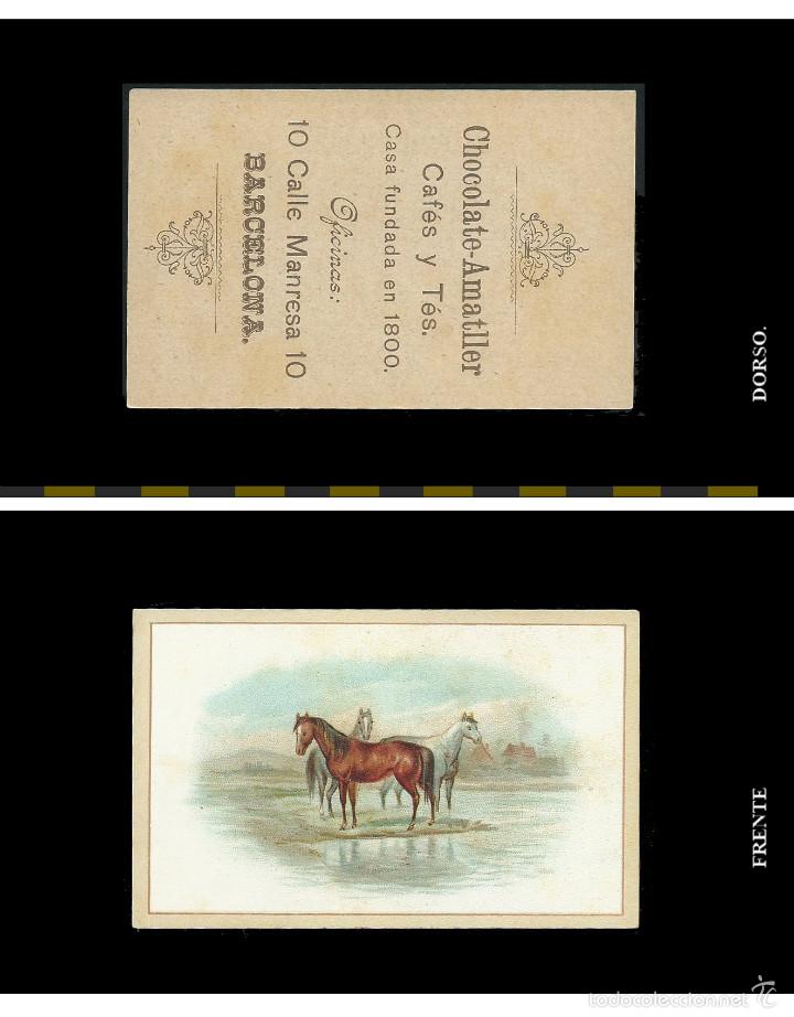 Coleccionismo cromos antiguos: cromo caballos. Chocolates Ametller. - Foto 1