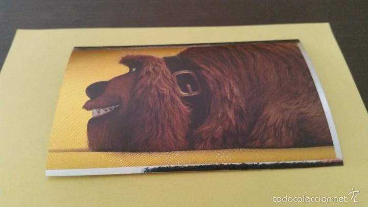 Coleccionismo cromos antiguos: CROMO MASCOTAS (PANINI 2016) - N&ordm; 97 - Foto 1