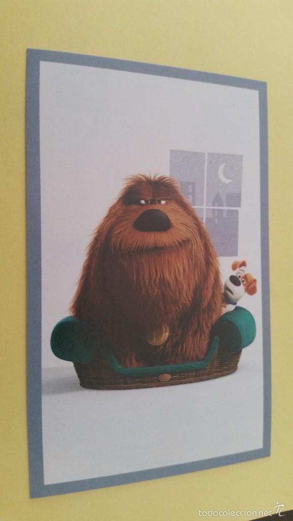 Coleccionismo cromos antiguos: CROMO MASCOTAS (PANINI 2016) - N&ordm; 85 - Foto 1