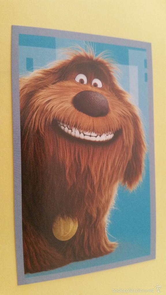 Coleccionismo cromos antiguos: CROMO MASCOTAS (PANINI 2016) - N&ordm; 80 - Foto 1
