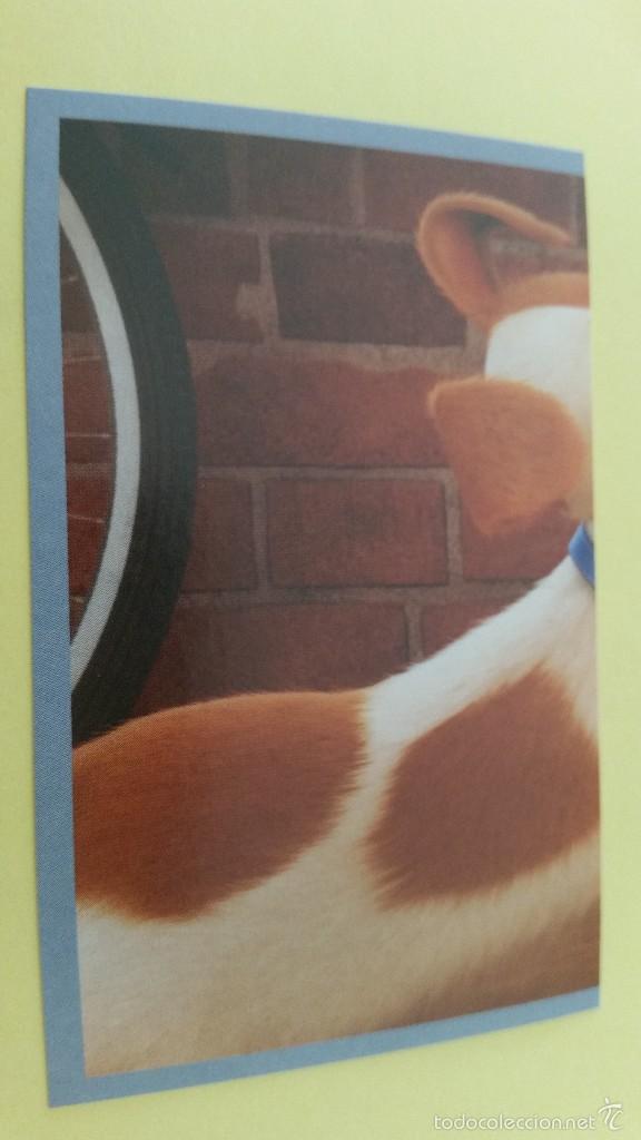 Coleccionismo cromos antiguos: CROMO MASCOTAS (PANINI 2016) - N&ordm; 78 - Foto 1