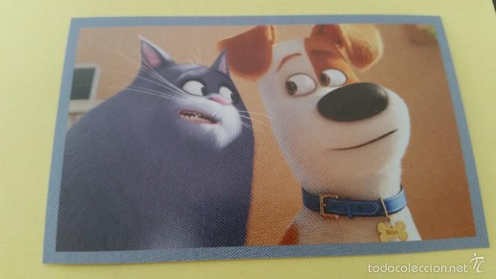 Coleccionismo cromos antiguos: CROMO MASCOTAS (PANINI 2016) - N&ordm; 68 - Foto 1
