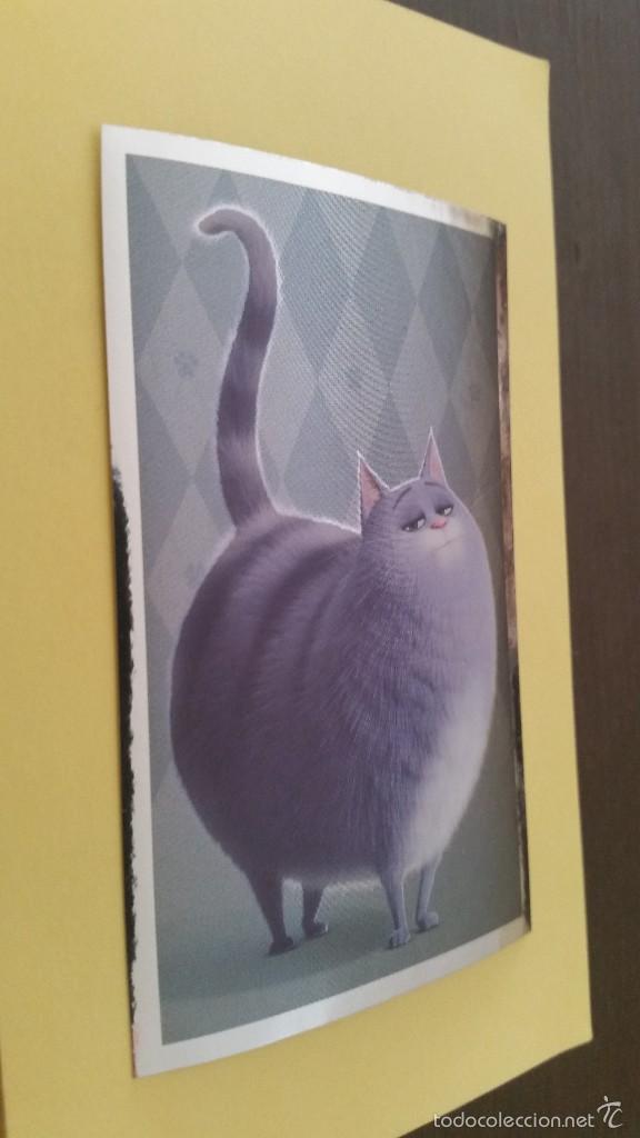 Coleccionismo cromos antiguos: CROMO MASCOTAS (PANINI 2016) - N&ordm; 33 - Foto 1