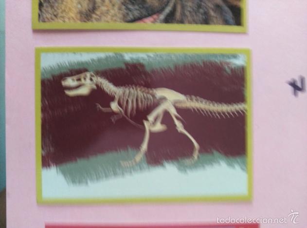 Coleccionismo cromos antiguos: DINOSAURIOS PANINI NUMERO 7 - Foto 1