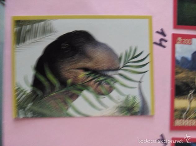 Coleccionismo cromos antiguos: DINOSAURIOS PANINI NUMERO 14 - Foto 1