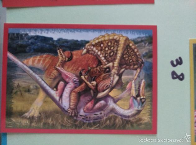 Coleccionismo cromos antiguos: DINOSAURIOS PANINI NUMERO 38 - Foto 1