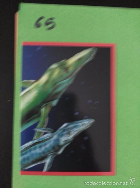 Coleccionismo cromos antiguos: DINOSAURIOS PANINI NUMERO 65 - Foto 1