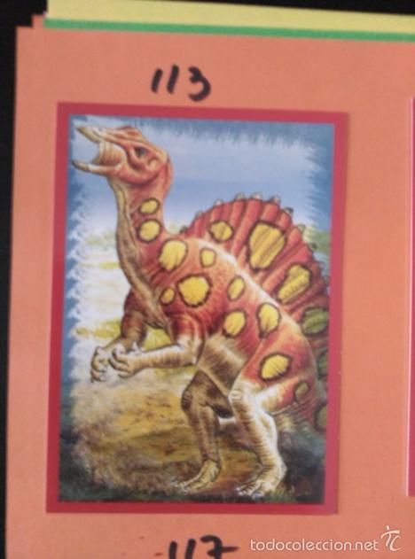 Coleccionismo cromos antiguos: DINOSAURIOS PANINI NUMERO 113 - Foto 1