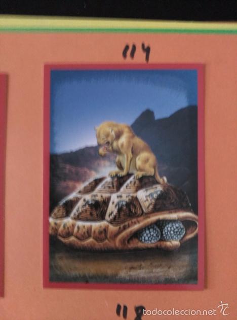 Coleccionismo cromos antiguos: DINOSAURIOS PANINI NUMERO 114 - Foto 1