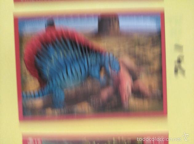 Coleccionismo cromos antiguos: DINOSAURIOS PANINI NUMERO 146 - Foto 1