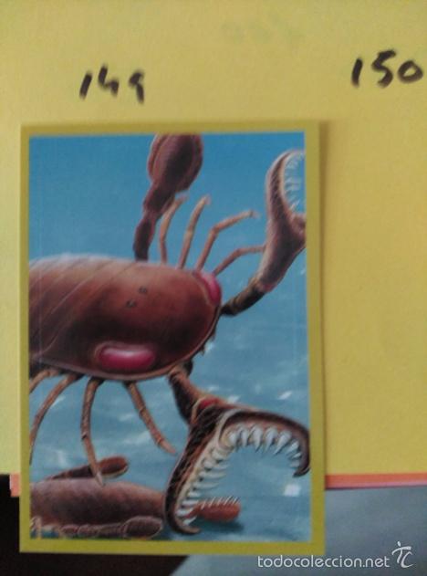 Coleccionismo cromos antiguos: DINOSAURIOS PANINI NUMERO 149 - Foto 1
