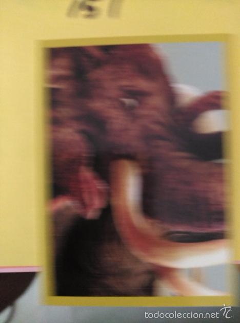 Coleccionismo cromos antiguos: DINOSAURIOS PANINI NUMERO 151 - Foto 1