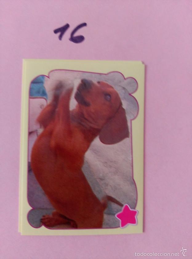 Coleccionismo cromos antiguos: patito feo PANINI 16 - Foto 1