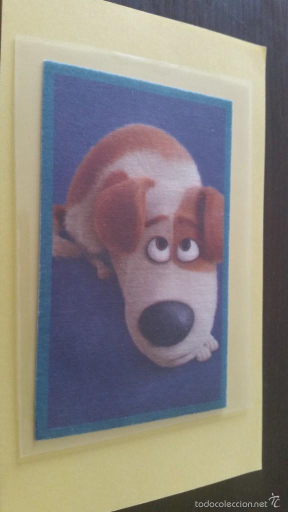 Coleccionismo cromos antiguos: CROMO MASCOTAS (PANINI 2016) - N&ordm; 17 - Foto 1