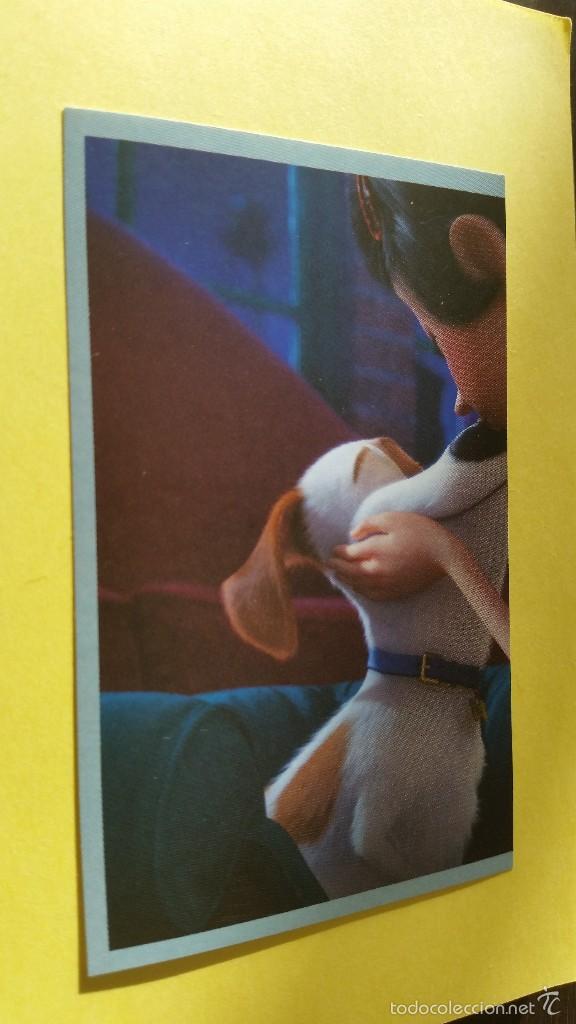 Coleccionismo cromos antiguos: CROMO MASCOTAS (PANINI 2016) - N&ordm; 9 - Foto 1