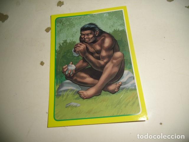 Coleccionismo cromos antiguos: PANINI EL GRAN ALBUM DEL MUNDO ANIMAL 075