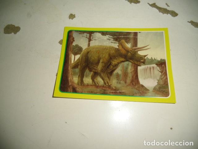 Coleccionismo cromos antiguos: PANINI EL GRAN ALBUM DEL MUNDO ANIMAL 055