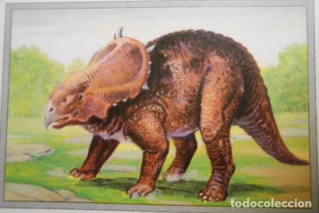Coleccionismo cromos antiguos: 101 DINOSAURIOS N&ordm; 5. TRADING CARD - Foto 1