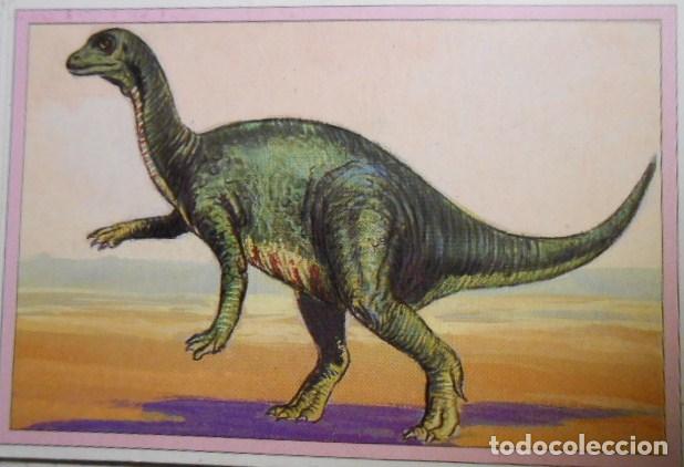 Coleccionismo cromos antiguos: 101 DINOSAURIOS N&ordm; 7. TRADING CARD - Foto 1