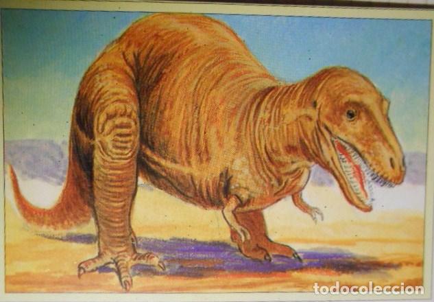 Coleccionismo cromos antiguos: 101 DINOSAURIOS N&ordm; 8. TRADING CARD - Foto 1
