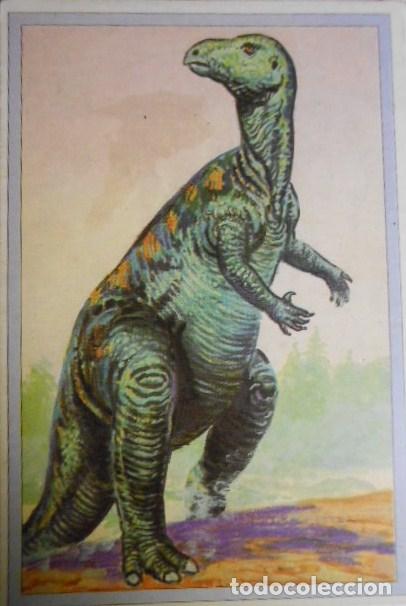 Coleccionismo cromos antiguos: 101 DINOSAURIOS N&ordm; 14. TRADING CARD - Foto 1