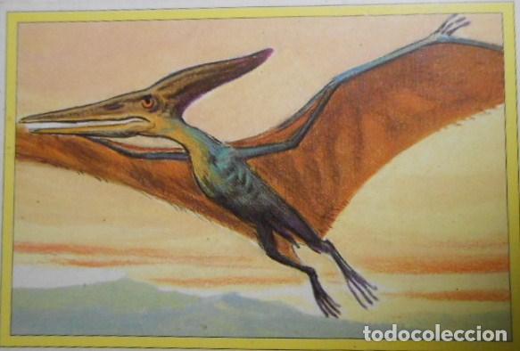 Coleccionismo cromos antiguos: 101 DINOSAURIOS N&ordm; 30. TRADING CARD - Foto 1