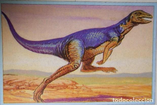 Coleccionismo cromos antiguos: 101 DINOSAURIOS N&ordm; 32. TRADING CARD - Foto 1
