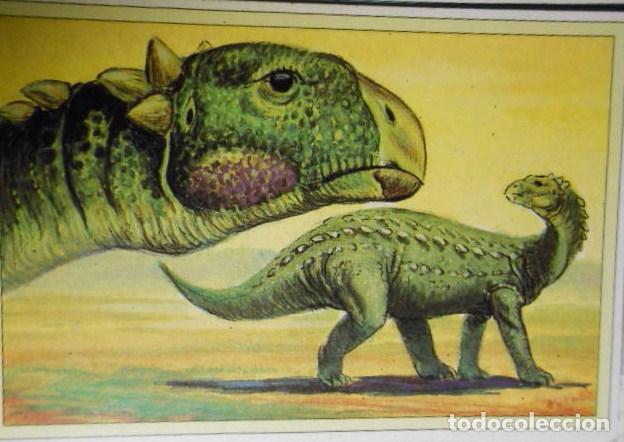 Coleccionismo cromos antiguos: 101 DINOSAURIOS N&ordm; 48. TRADING CARD - Foto 1