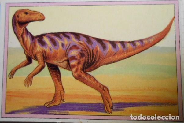 Coleccionismo cromos antiguos: 101 DINOSAURIOS N&ordm; 67. TRADING CARD - Foto 1