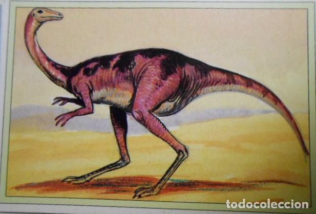 Coleccionismo cromos antiguos: 101 DINOSAURIOS N&ordm; 68. TRADING CARD - Foto 1