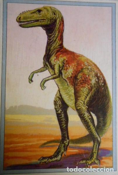 Coleccionismo cromos antiguos: 101 DINOSAURIOS N&ordm; 71. TRADING CARD - Foto 1